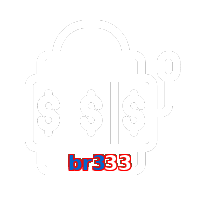 br333